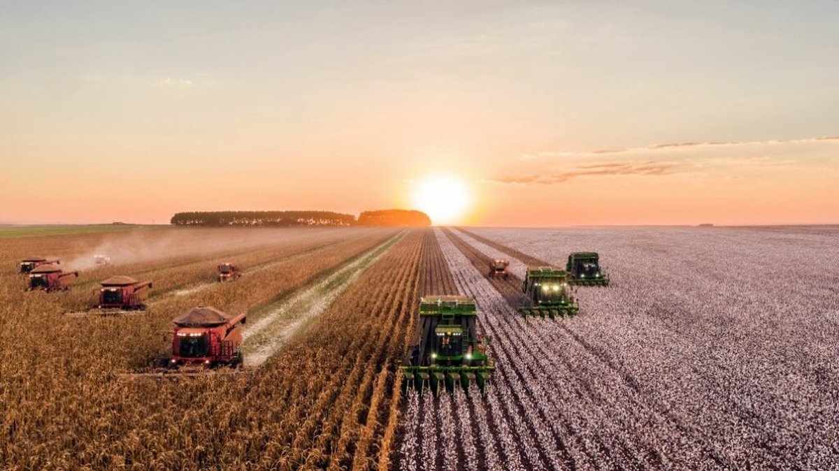 Estos beneficios de la automatizaci&oacute;n en la agricultura est&aacute;n impulsando un cambio significativo en la forma en que se abordan los desaf&iacute;os agr&iacute;colas y se mejora la producci&oacute;n de alimentos. A medida que la tecnolog&iacute;a contin&uacute;a evolucionando, se espera que estos beneficios se ampl&iacute;en y se logren avances a&uacute;n mayores en t&eacute;rminos de eficiencia, sostenibilidad y seguridad alimentaria.